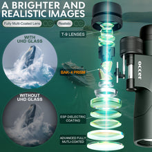 Load image into Gallery viewer, OC Migrant 12X50 Binoculars - Green